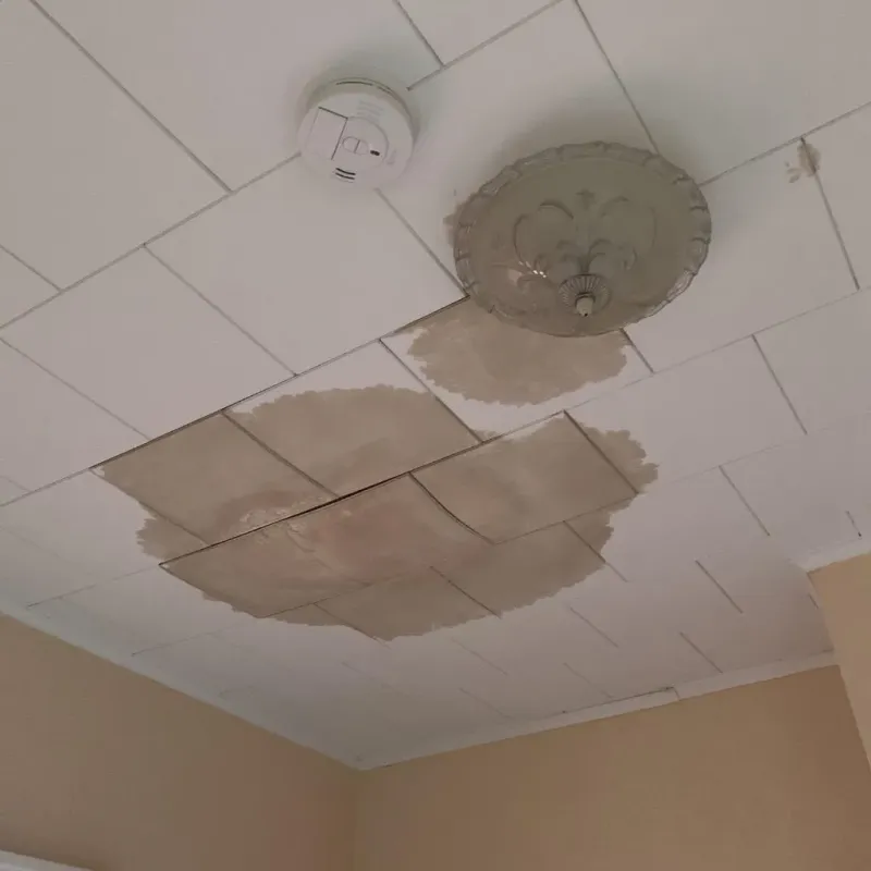 Ceiling Water Damage Repair in Conway, AR
