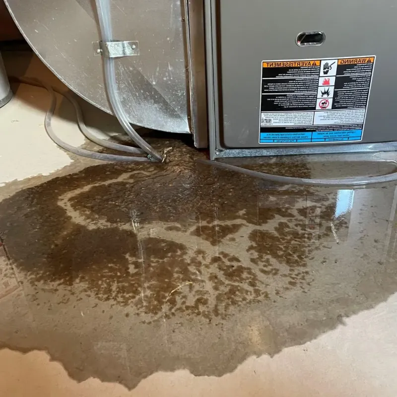 Pipe Burst and Leak Restoration in Conway, AR